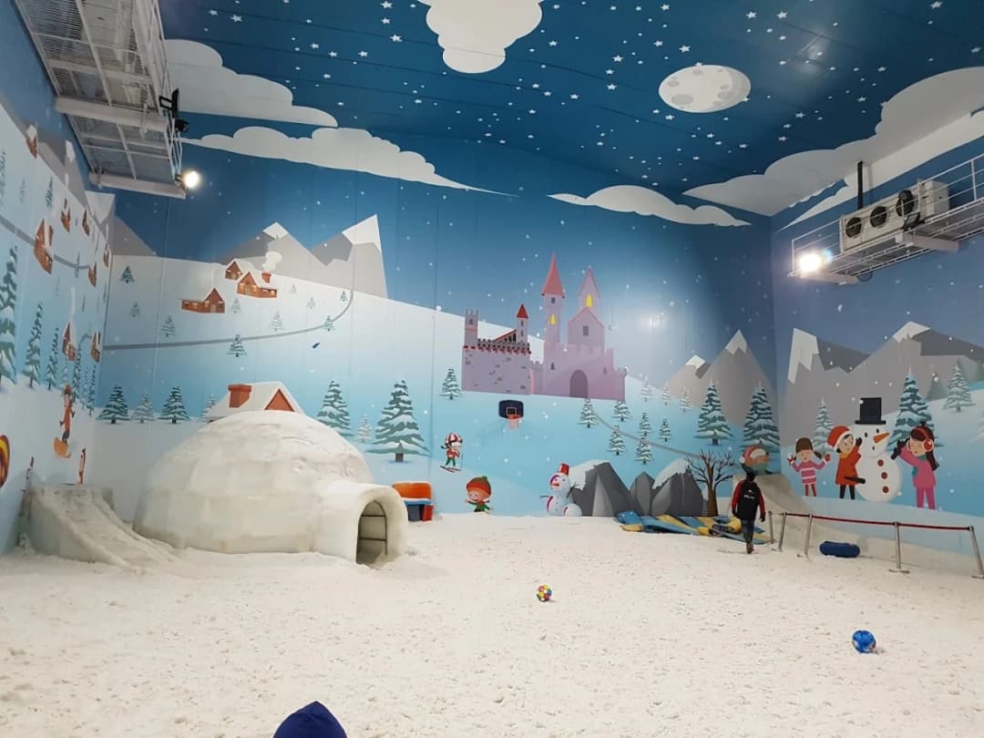 Igloo Experience