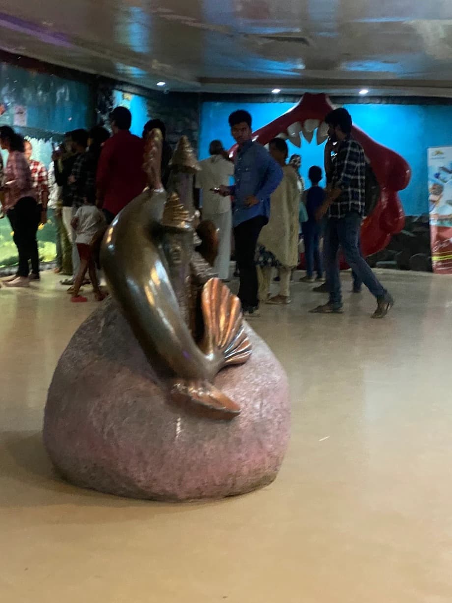 Gallery image 4