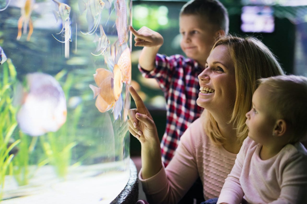 Happy visitors at aquarium