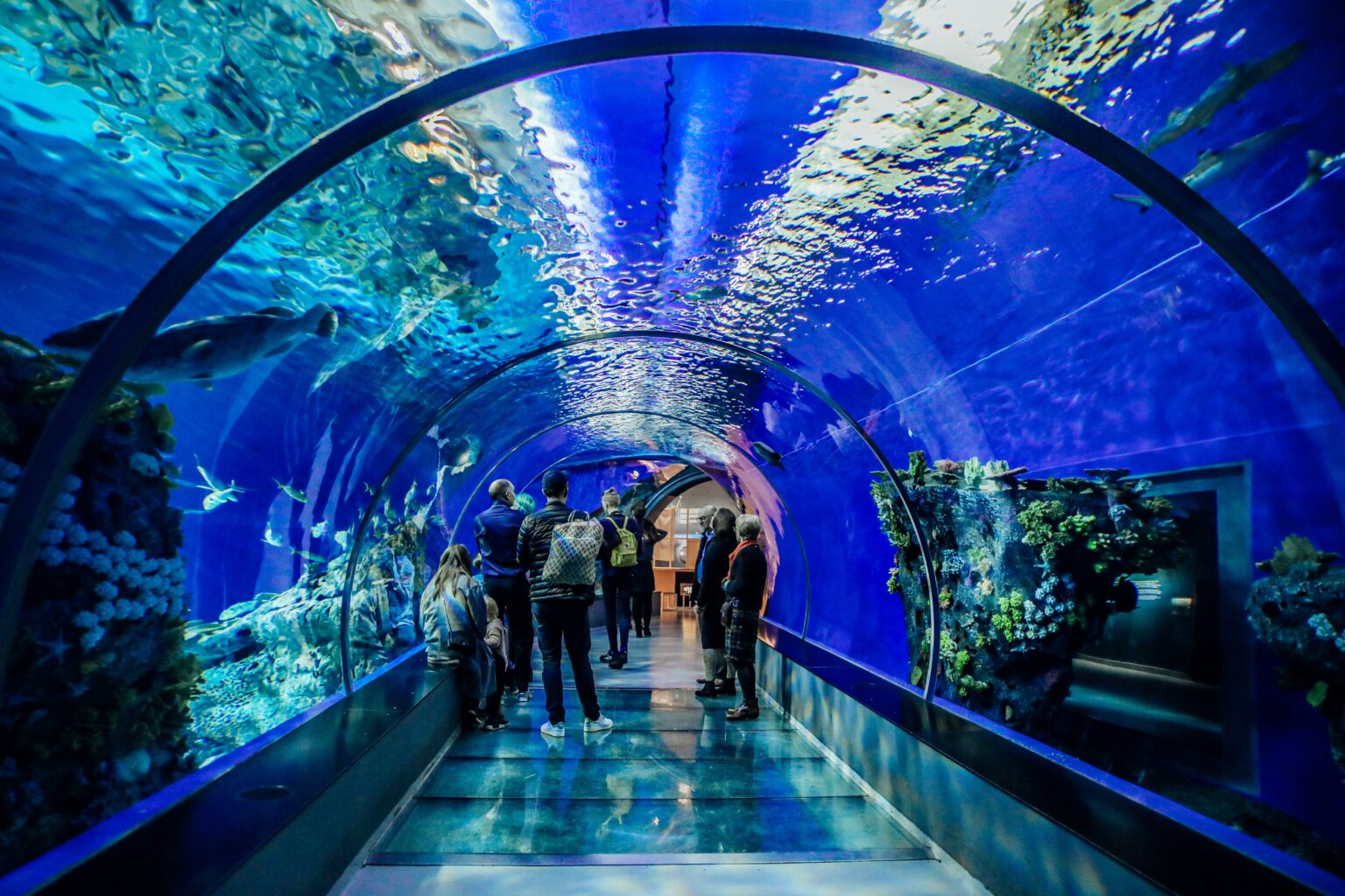 Underwater Tunnel